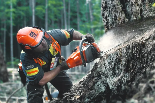 Pilarka spalinowa Husqvarna 550 XP® MARK II auto tune