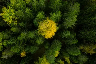 Robot koszący Automower® Husqvarna 405XE NERA ekologiczne rozwiązanie