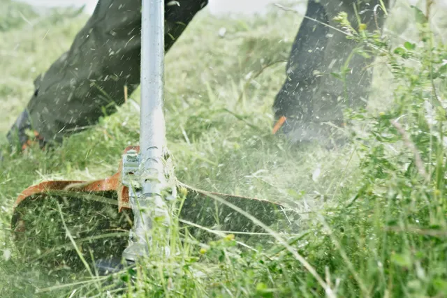 Wykaszarka spalinowa Husqvarna 525RX Mark II wydajność koszenia