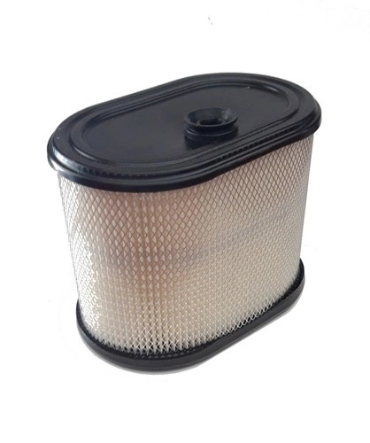Oryginalny filtr Briggs & Stratton Intek 1650 (695302)