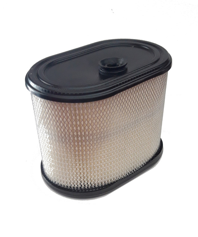Oryginalny filtr Briggs & Stratton Intek 1650 (695302)