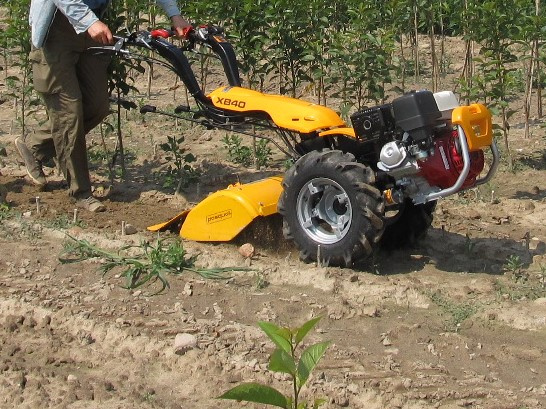 Ciągnik jednoosiowy Pasquali XB40 z glebogryzarką 80 cm