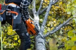 Pilarka spalinowa Husqvarna 445 S
