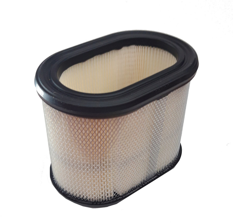 Oryginalny filtr Briggs & Stratton Intek 1650 (695302)