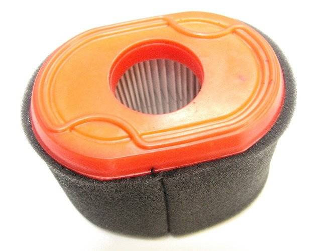 Oryginalny filtr powietrza Briggs&Stratton 550 (796970)