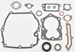 Zestaw uszczelek silnika Briggs&Stratton Quantum
