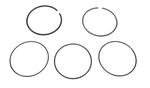 Pierścienie tłoka silnika Stiga WBE (118551445/0)