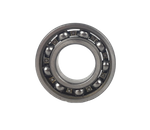 Łożysko Pasquali 6205 (37111255)