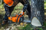 Pilarka spalinowa Husqvarna 445 S