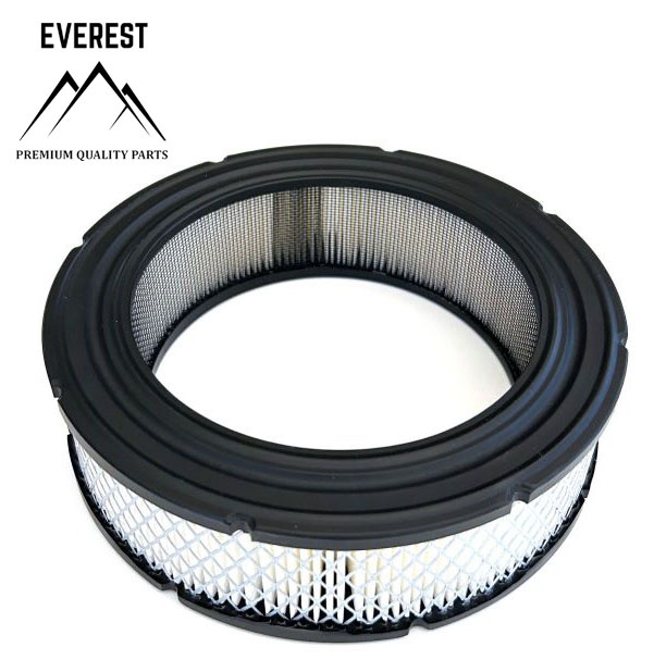 Filtr powietrza silnika Briggs&Stratton Vanguard