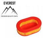 Filtr powietrza kosiarki Hortmasz DV196, DV225