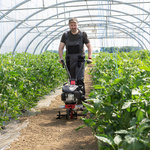 Glebogryzarka spalinowa AL-KO MH 360