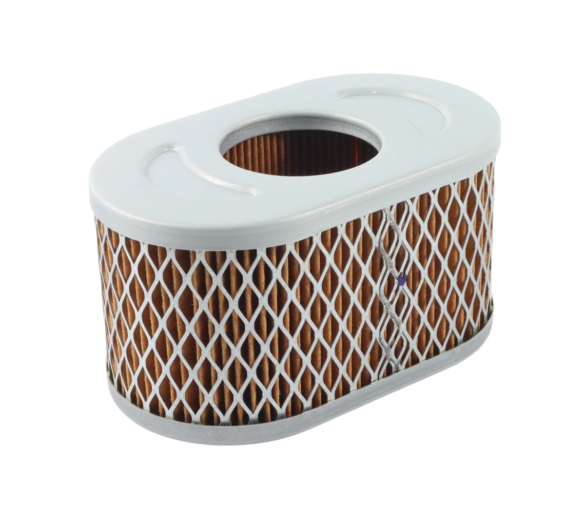 Oryginalny filtr powietrza silnika Briggs&Stratton Vanguard 6.5 HP (797033)