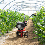 Glebogryzarka spalinowa AL-KO MH 360