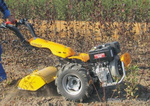 Glebogryzarka Pasquali XB40/80 L 100 E